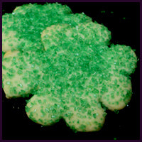 Shamrock Sugar Cookies